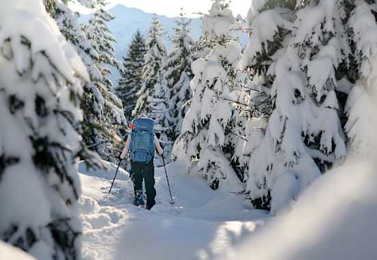 Eine Skitourengeherin unterwegs im verschneiten Winterwald