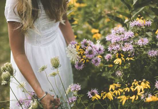 Wilde Wiesenkräuter und ihre heilende Wirkung