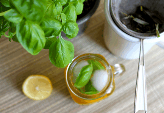 Selbstgemachter Eistee mit frischen Kräutern