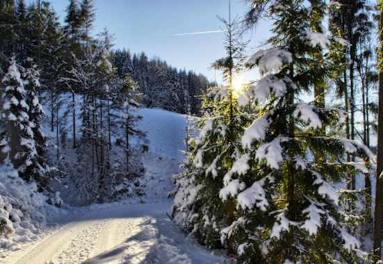 Winterwanderweg Vierawasch: Wandern bei Mühlbach am Hochkönig in Salzburg