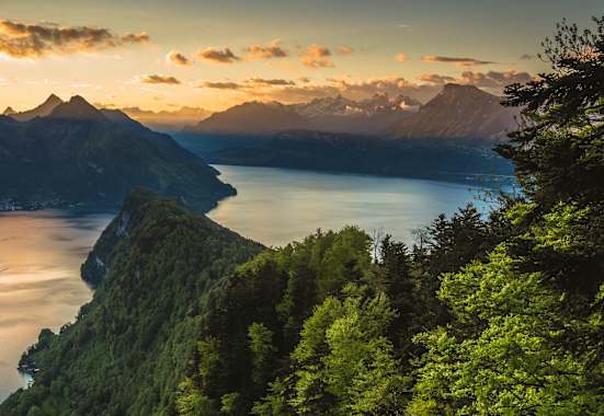 Waldstätter Weg: Von Brunnen nach Vitznau – hier mit Blick auf den Vierwaldstättersee
