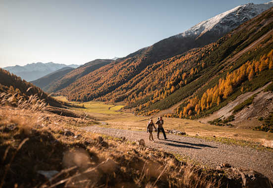 Im goldenen Licht erstrahlt der Vinschgau von seinen schönsten Seiten.