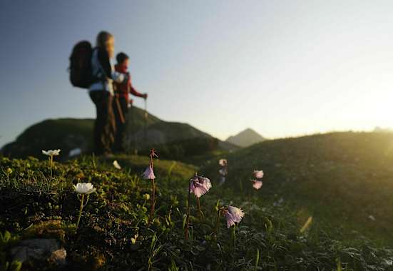 Wanderer in den Tannheimer Bergen in Tirol