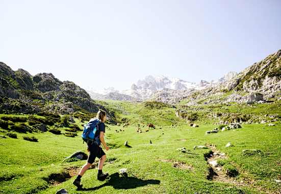 Wanderin im Nationalpark Picos de Europa in Spanien