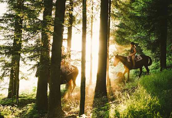 Reiten am Morgen durch den Wald