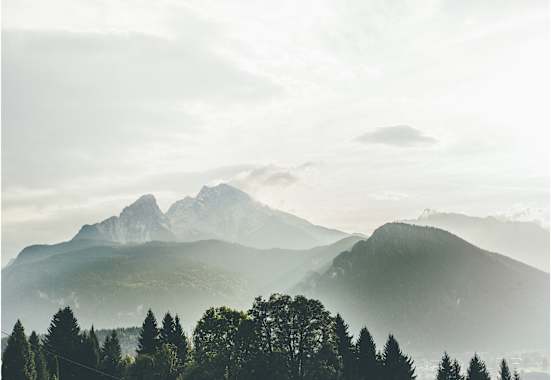 Die Familie Watzmann liegt im Nebel. 