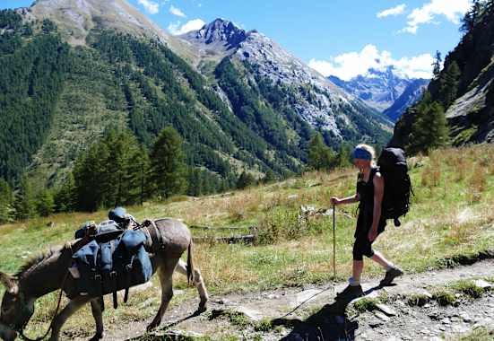 Esel-Trekking Provence