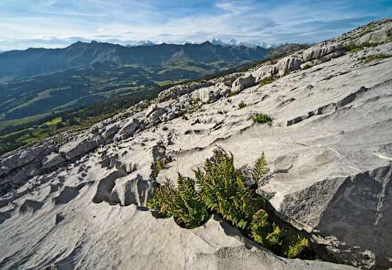 Biosphäre Entlebuch 