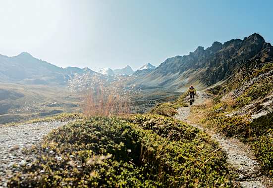 Mountainbiken Singletrail Schweiz