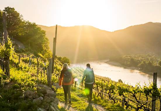 Durch die Weinrieden in Weißenkirchen