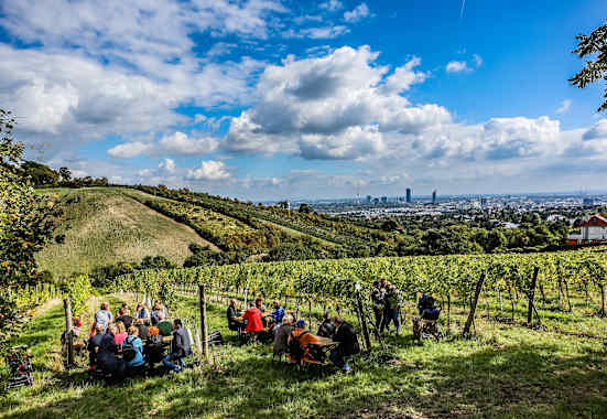 Wiener Weinwandertag