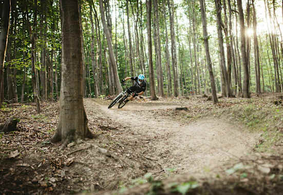 Trailpark im Wienerwald