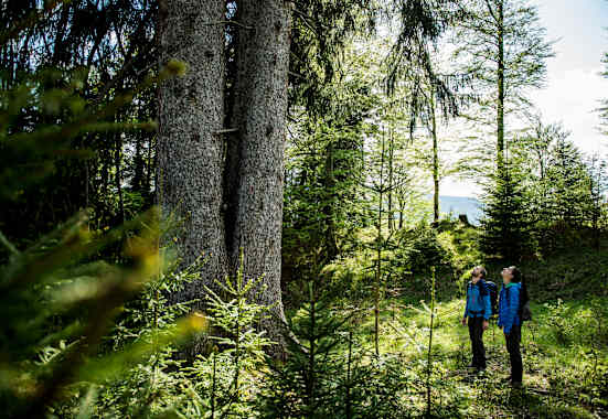 Zwei Wanderer genießen die Natur.