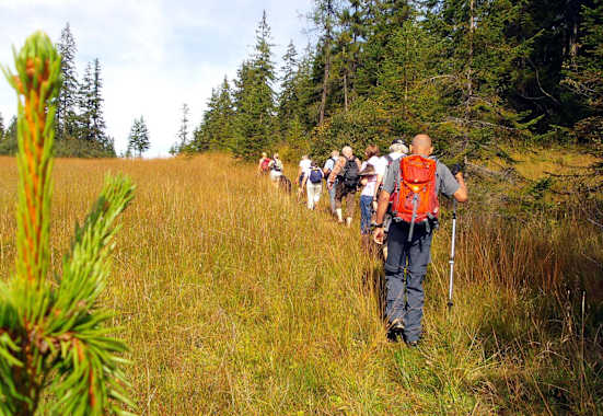 Wildschönau: Moorwanderung in Tirol