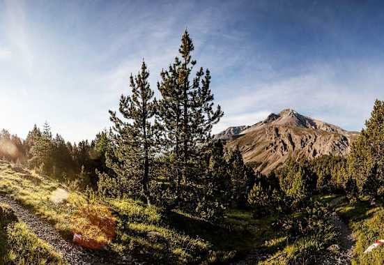 Wandern in Graubünden: Etappe 7 des Nationalpark-Panoramawegs von Zernez nach Lavin