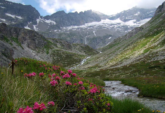 Ruhegebiet Hochgebirgs-Naturpark Zillertaler Alpen