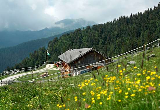 Rifugio Malga Conseria in der Val Campelle