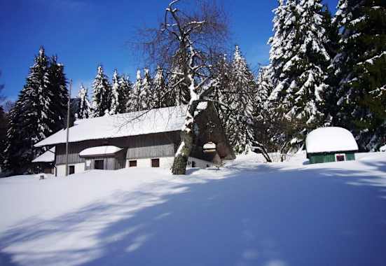 Nur ein paar hundert Meter von Deggendorf entfernt befindet sich auf der Rusel die Hochwaldhütte