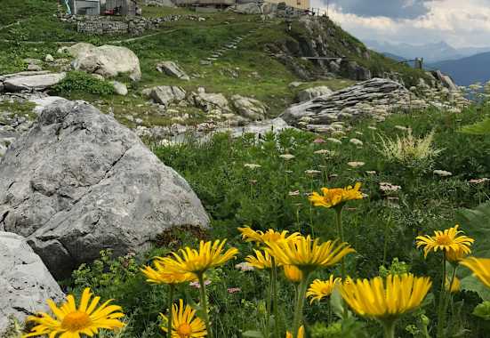 Camona da Punteglias