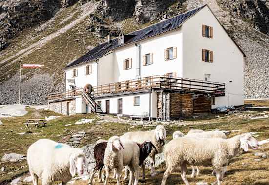 Die Düsseldorfer Hütte in Südtirol