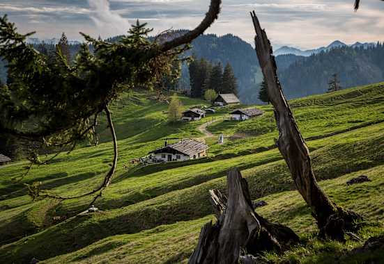 Die Haaralm besteht aus mehreren Almhütten.