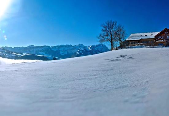 Gasthaus Hoher Hirschberg