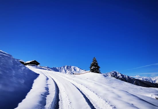 Die Poltenalm im Winter