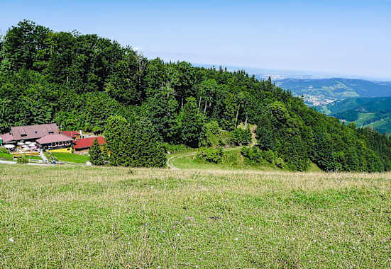 Im niederösterreichischen Mostviertel nahe Lilienfeld befindet sich die kleine, aber kulinarisch sehr feine Lilienfelder Hütte (956 m).