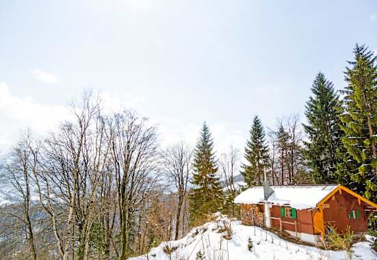 Die Reitbichlhütte steht an einem Südhang des Inntals