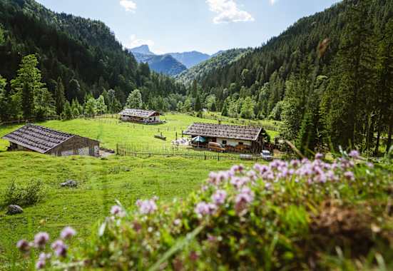 Die Schwarzachen Almen