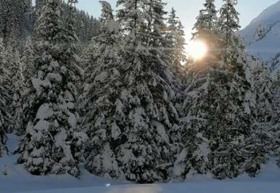 Winterlandschaft auf der Stadlalm