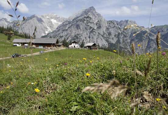 Die Walderalm liegt in wunderschöner Aussichtslage oberhalb von Gnadenwald.