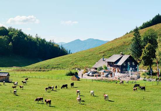 Die Buchberghütte liegt im salzburgerischen St. Gilgen am Wolfgangsee.