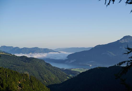 Blick auf Wolfgangsee