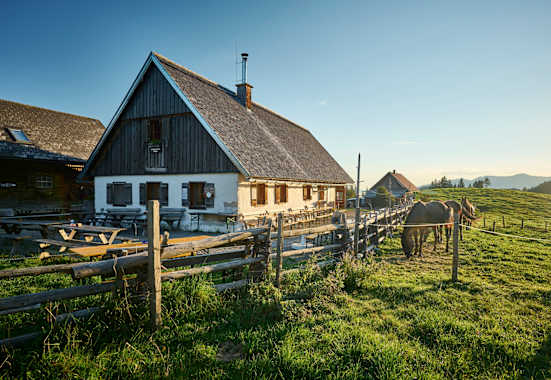 Die Alm im Reichraminger Hintergerbirge