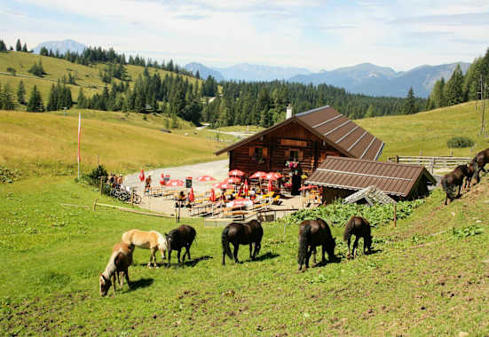 Unsere Tiere rund um die Edtalm