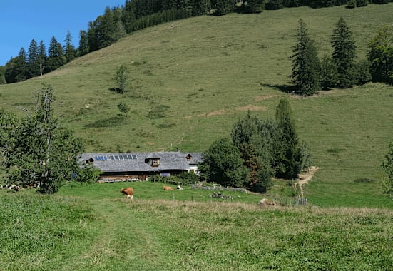 Die urige Gschwendtalm befindet sich unterhalb des Gamssteins.