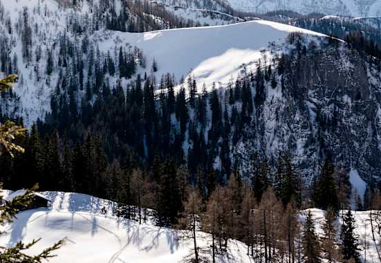 Blick auf das Schneibsteinhaus