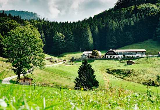 Die bewirtschaftete Hochsteinalm liegt westlich des Traunsees in Oberösterreich.