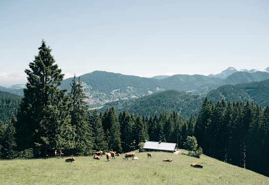 Die Kreuzbergalm auf 1.223m Höhe