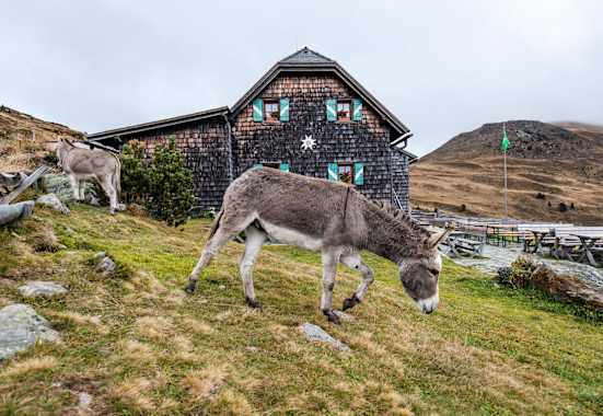 Die Millstätter Hütte
