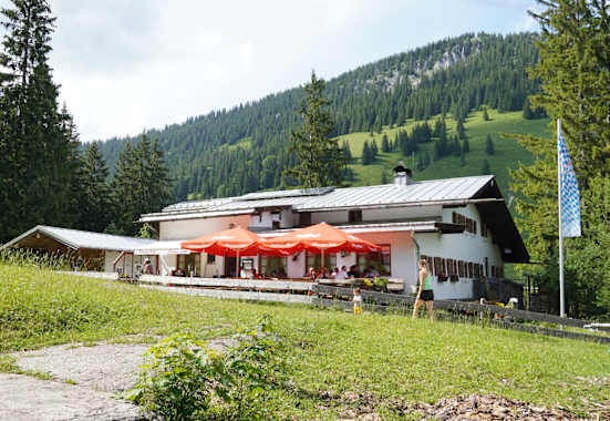 Die Mitteralm im Sommer