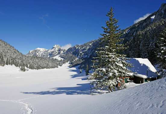 Das Naturfreundehaus Tannhütte liegt am Sämtiersee im Kanton Appenzell Innerrhoden. 