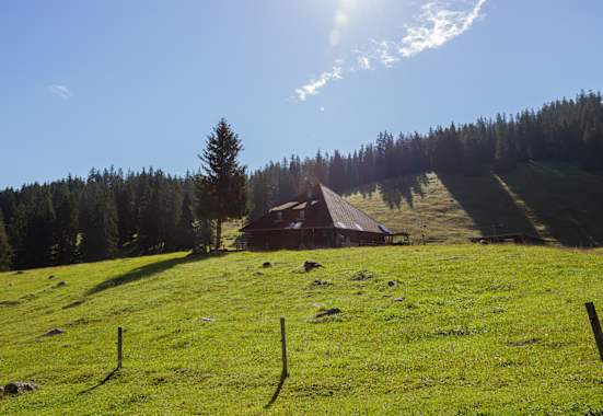 Natufreundehaus Feldmöser