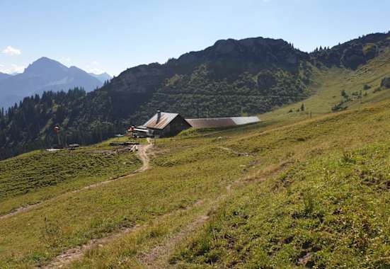 Die Lechaschauer Alm liegt auf 1.670 m