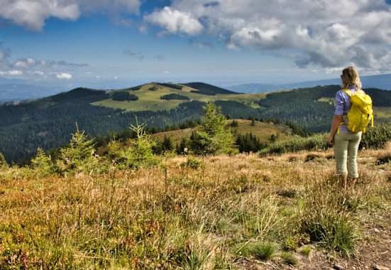 Der Rappoldkogel ist ein beliebtes Wanderziel ab dem Dr.-Otto-Koren-Haus.