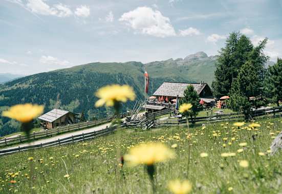 Die Roaner Alm liegt in der Osttiroler Gemeinde Iselsberg/Stronach.