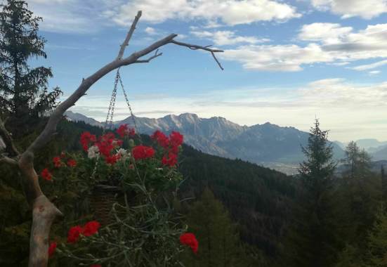 Die Aussicht von der Kreihter Alm