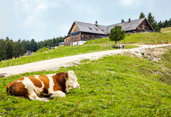 Die Stoißer Alm liegt unterhalb des 1.334 Meter hohen Teisenbergs.