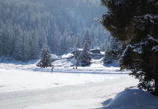 Blick auf die Wildmoosalm mit Langlaufloipe und Winterwanderweg